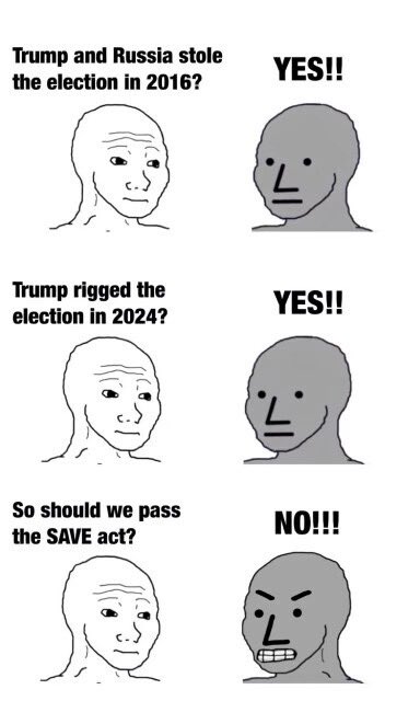 Steve 🇺🇸 tweet media