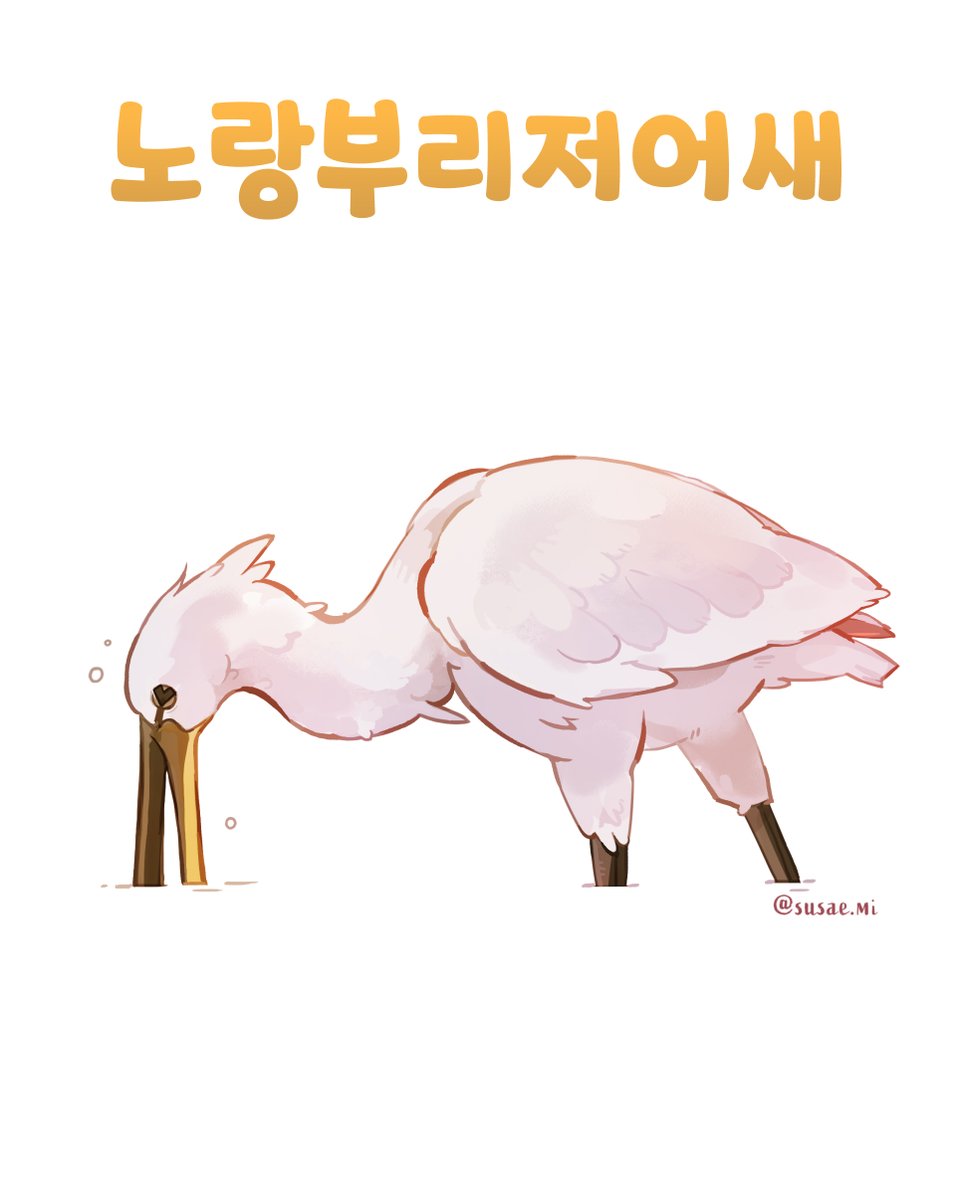 수새미 tweet media