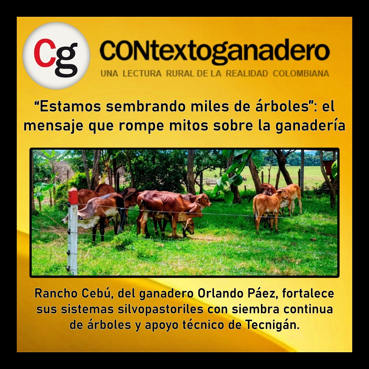 Garzón Pasión Ganadera tweet media