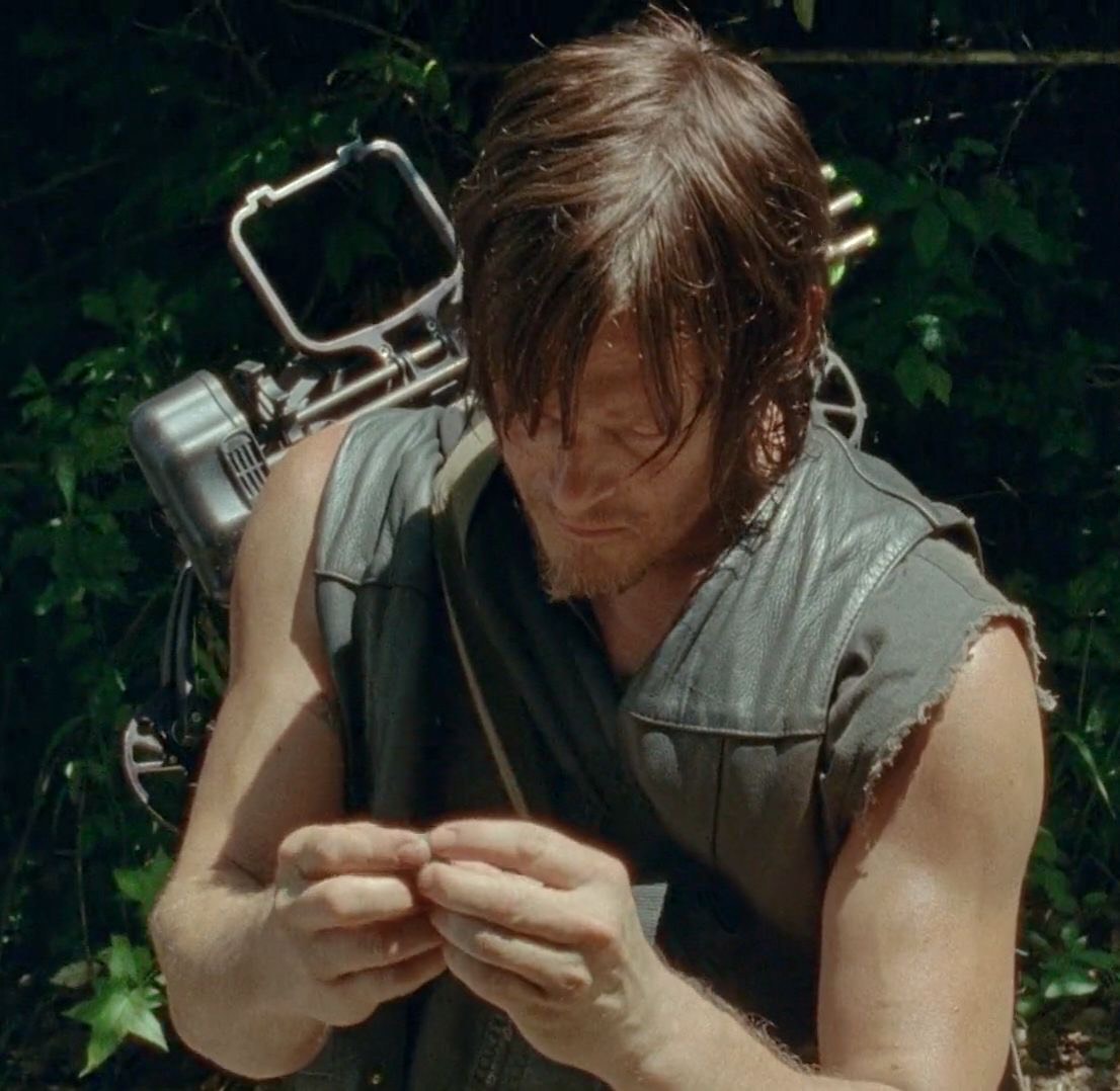 Daryl Dixon #Parody tweet media