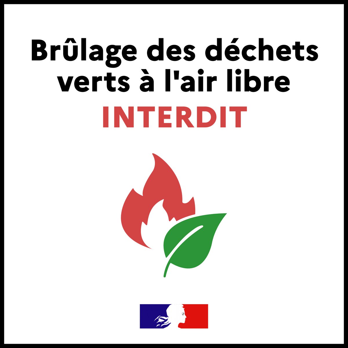 Image de Préfète de la Mayenne - 🌼 C'est le #printemps :

En s'occupant de son jardin, on fait fleurir les bonnes pratiques !

⛔️ RA