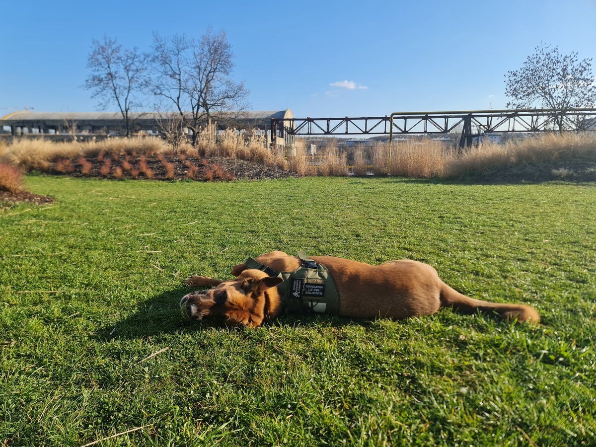 Slunime ;)

#emil_sinclair