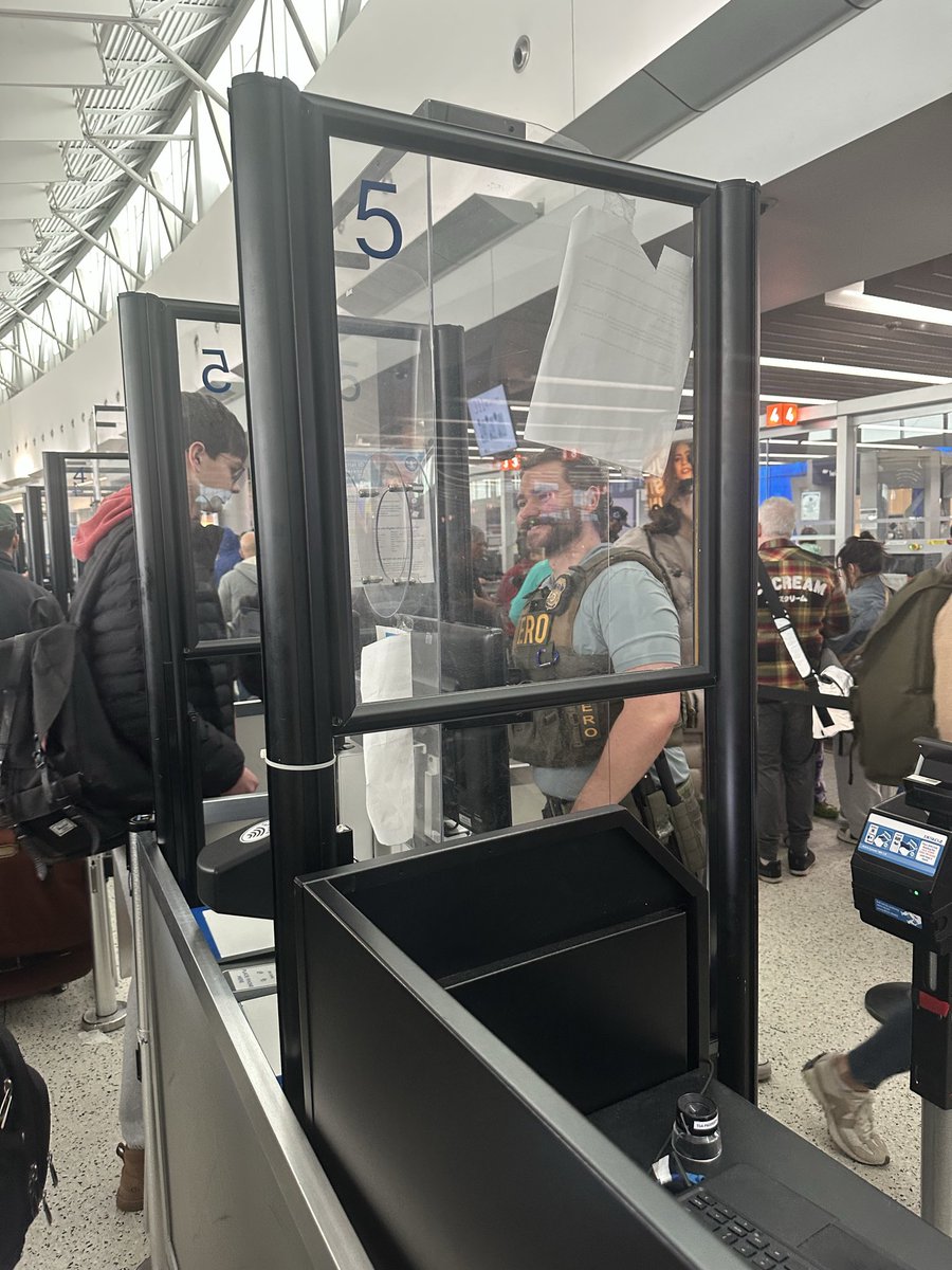 Emma Foley tweet media