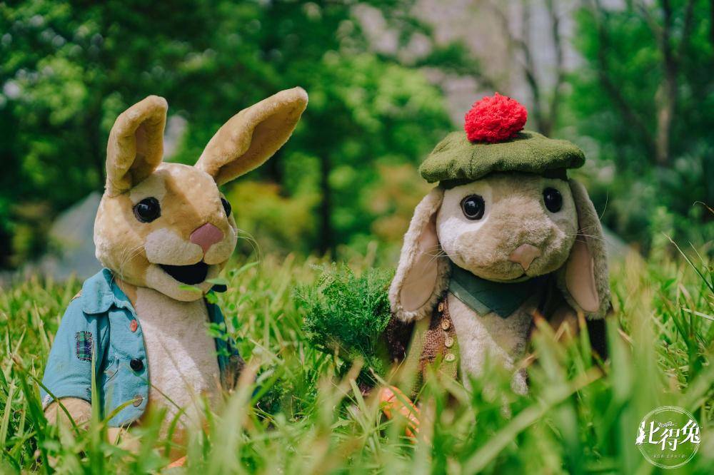 deborah linda salter tweet media