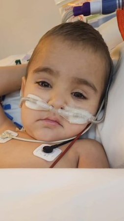 Cacho Cuervo tweet media