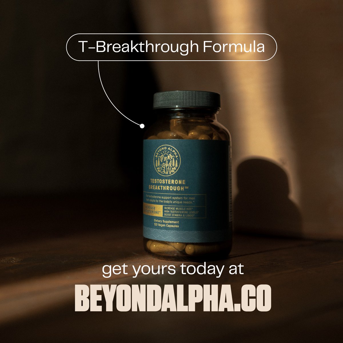 Beyond Alpha tweet media