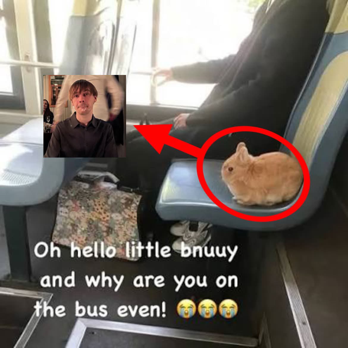 B0tler 🇸🇪 tweet media