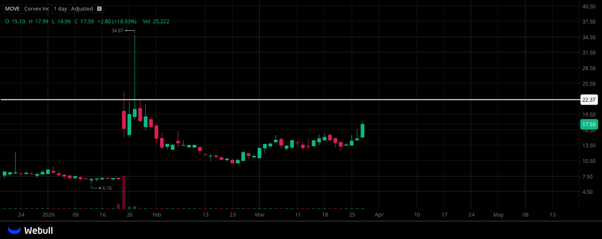 Cheetah Moment tweet media