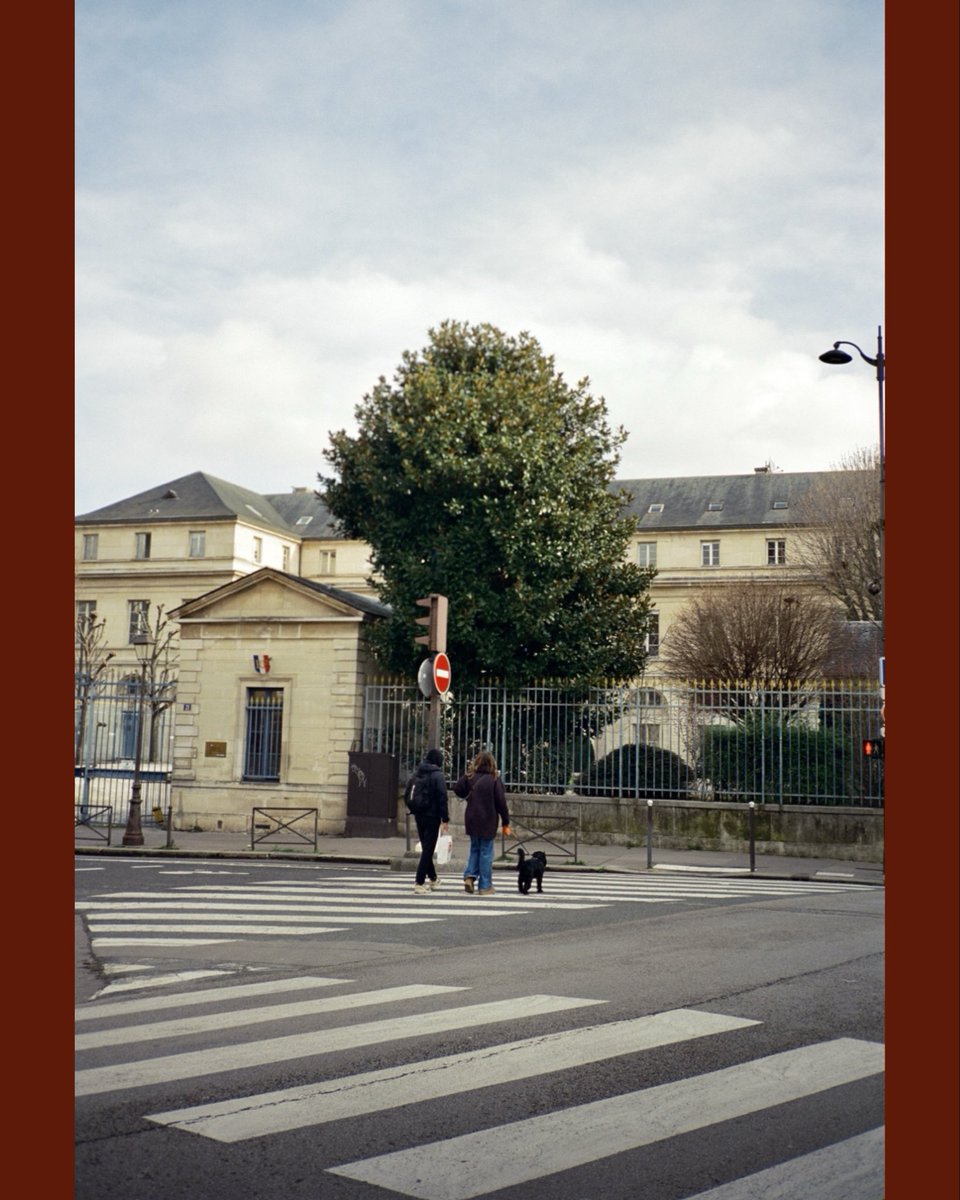 haroosajin's tweet photo. quelques façades et balades à Paris
🌫️📕🎈

ContaxT2 / Sunbath 50d 
Sunbath filmlab
https://t.co/TmGsr8ynyN https://t.co/d6MrKN4xXO