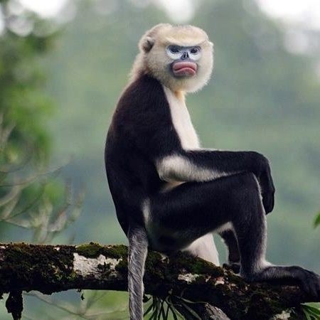 Fernanda Familiar tweet media