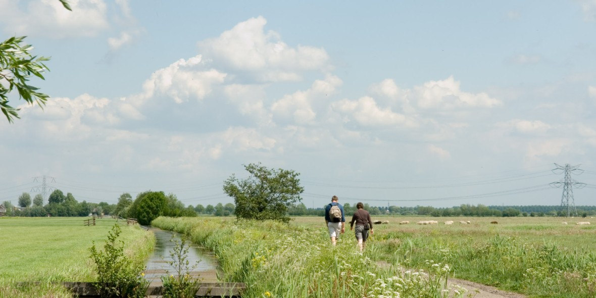 Wandelnet tweet media
