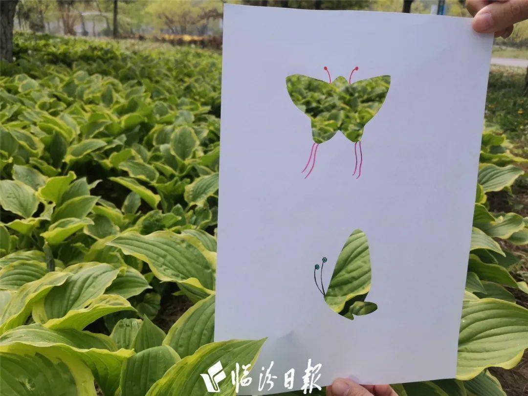 Katharina Klasnic tweet media