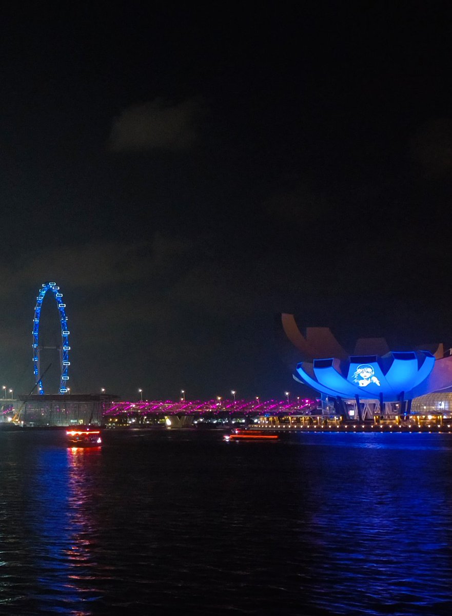 grnulweer's tweet photo. The nights in Singapore are more romantic than the days. https://t.co/LUPQMPGWJn