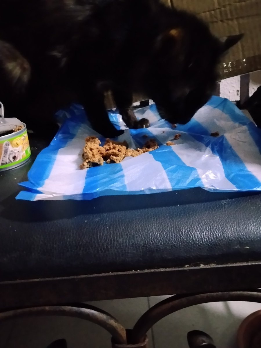 Teresa Ros tweet media