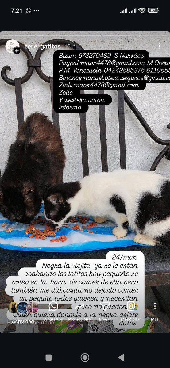 Teresa Ros tweet media