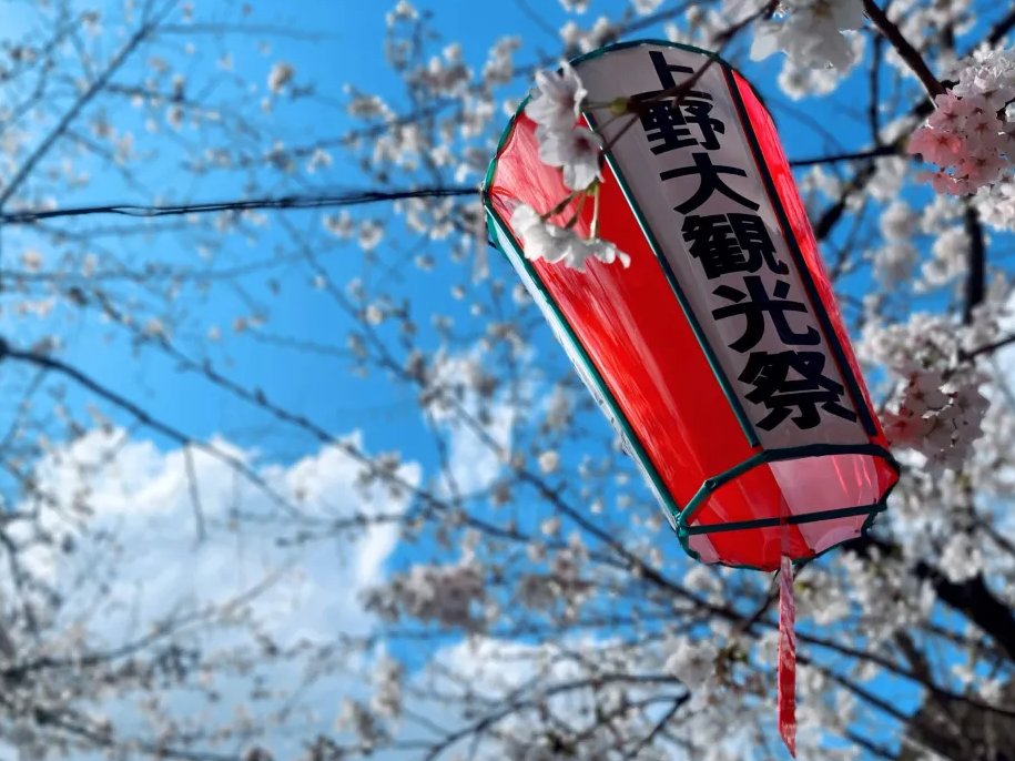 Elia Stellaria 🪿🍌 Goose VTuber tweet media