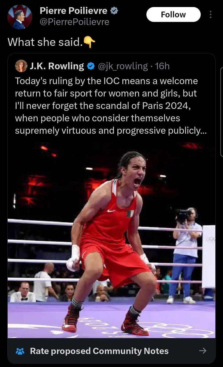 Paranoid Humanoid tweet media