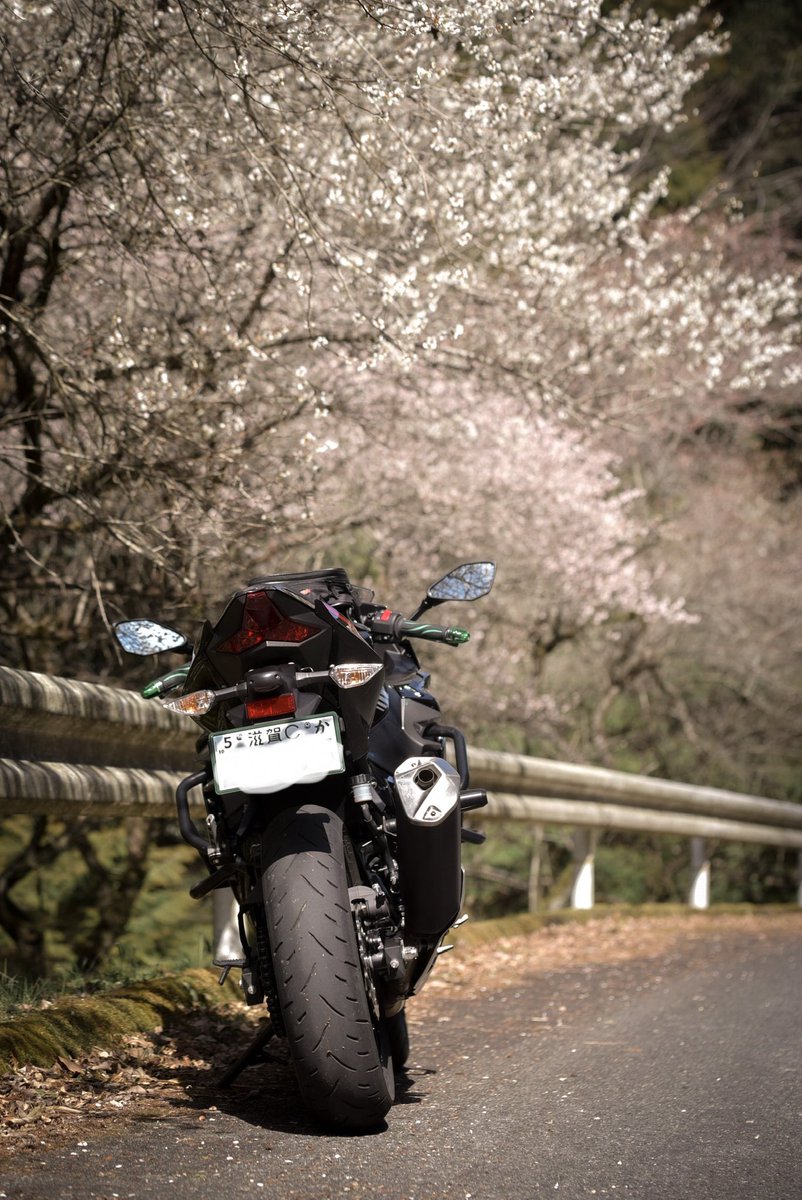 numgrapher's tweet photo. 先日の月ヶ瀬の梅祭。
桜の時期にも走りたいな。 https://t.co/badl1faQun