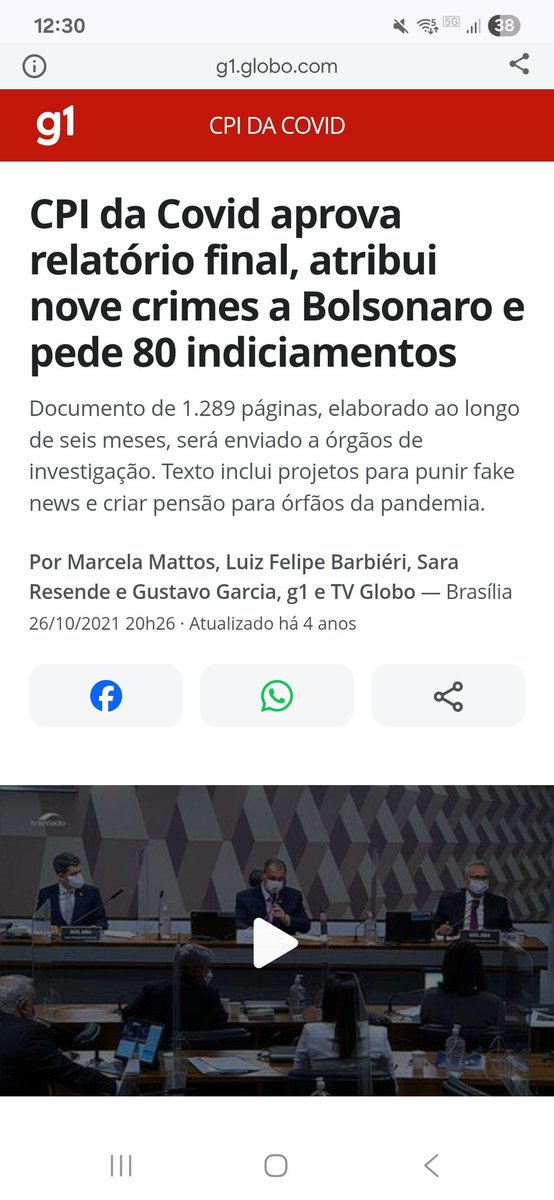 Graci Grecco tweet media