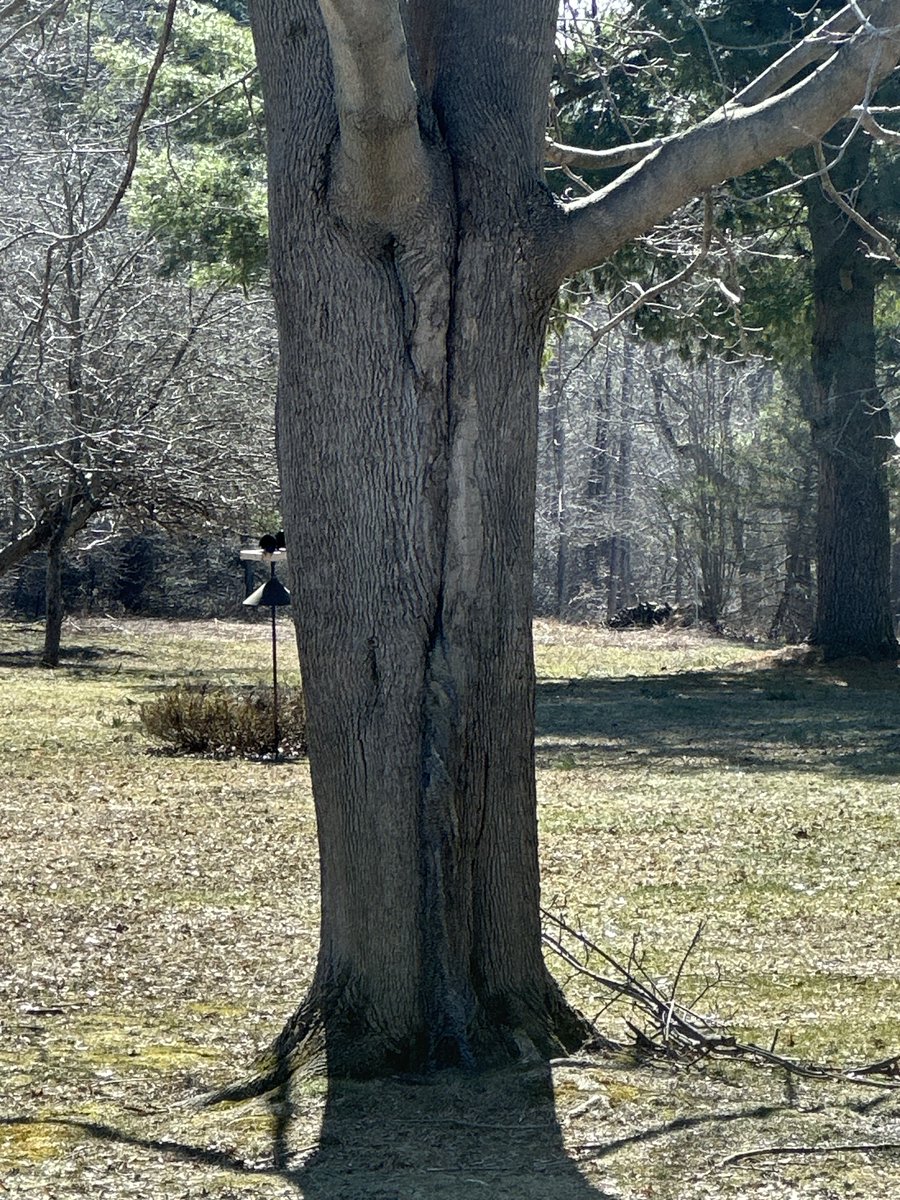 Dan Baldassarre tweet media