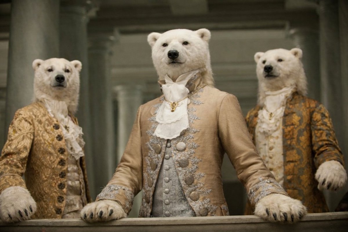 Tom Antonov tweet media