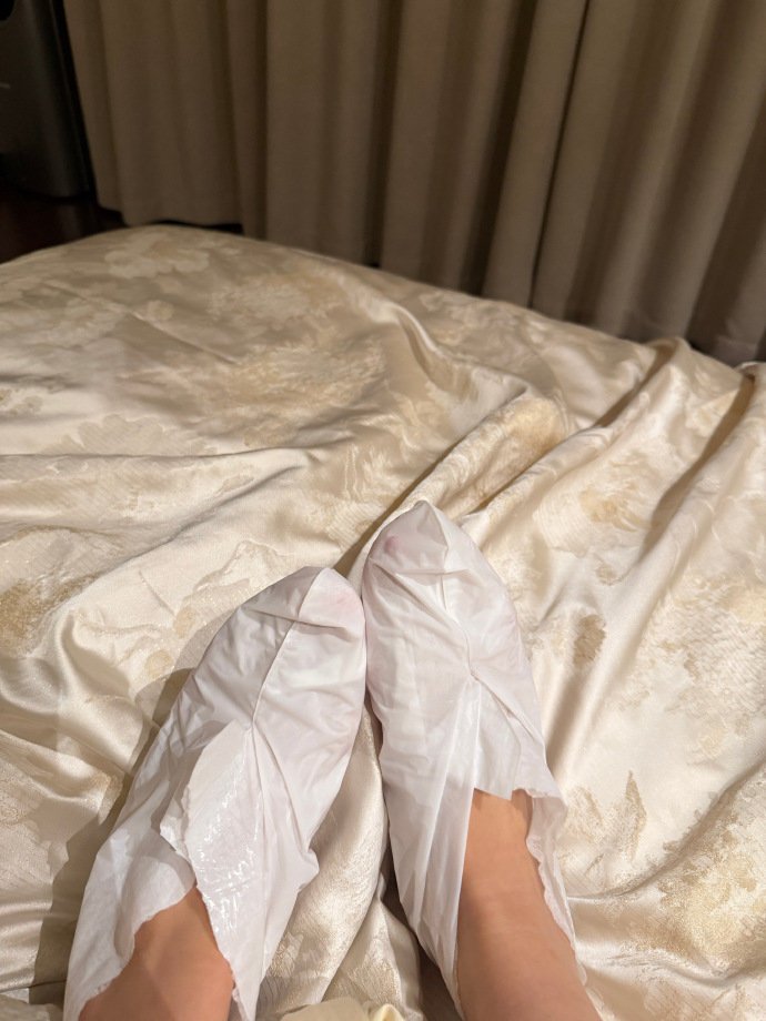 小椰🥥 tweet media