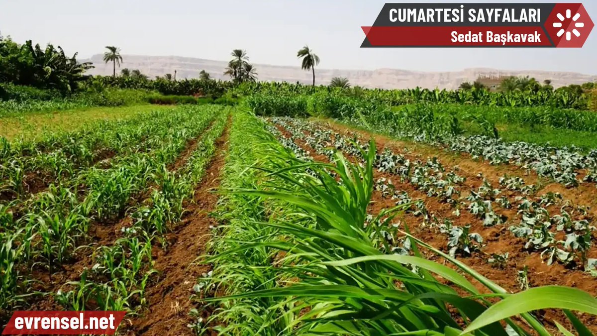 Evrensel Gazetesi tweet media