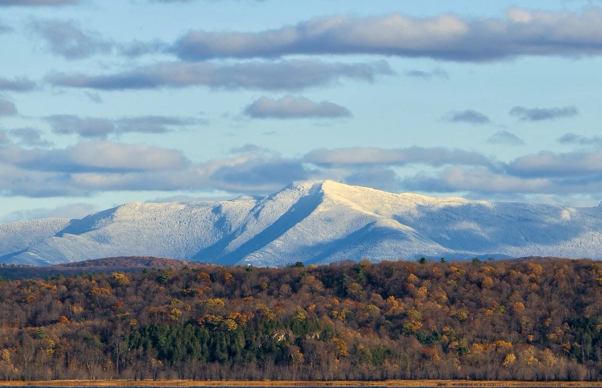 Cynthia Novick tweet media