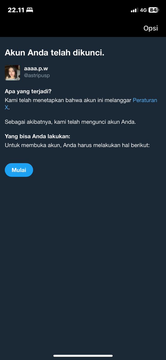 aaaa.p.w tweet media