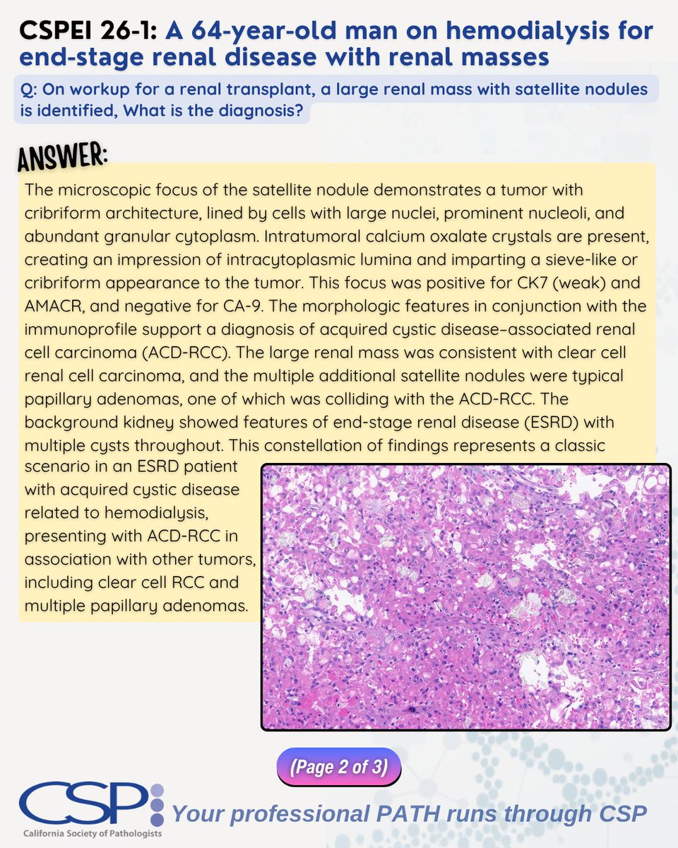 Ca Pathologists tweet media