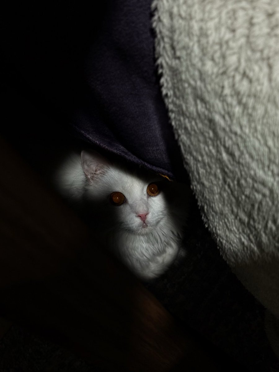 ⌞ IRAM ⌝ tweet media