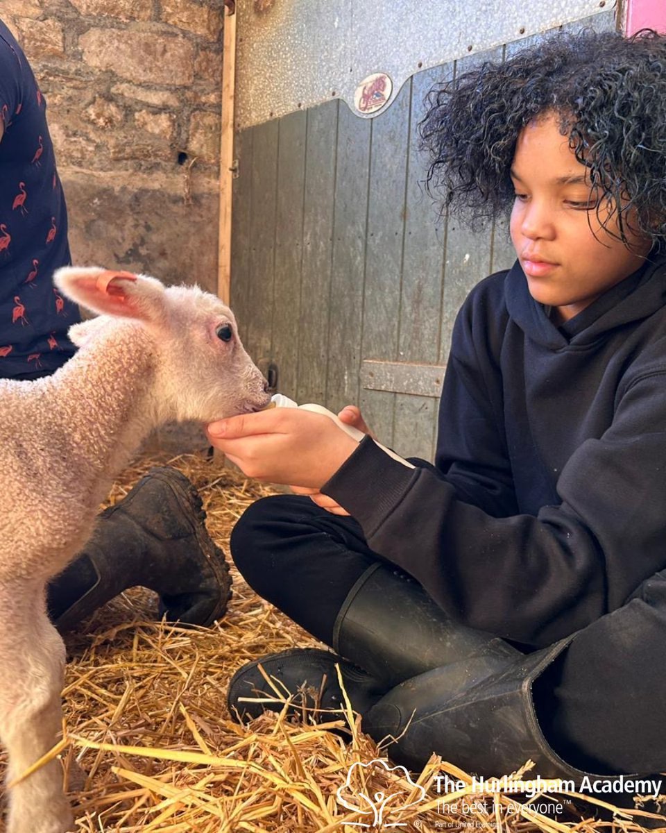 TheHurlinghamAcademy tweet media