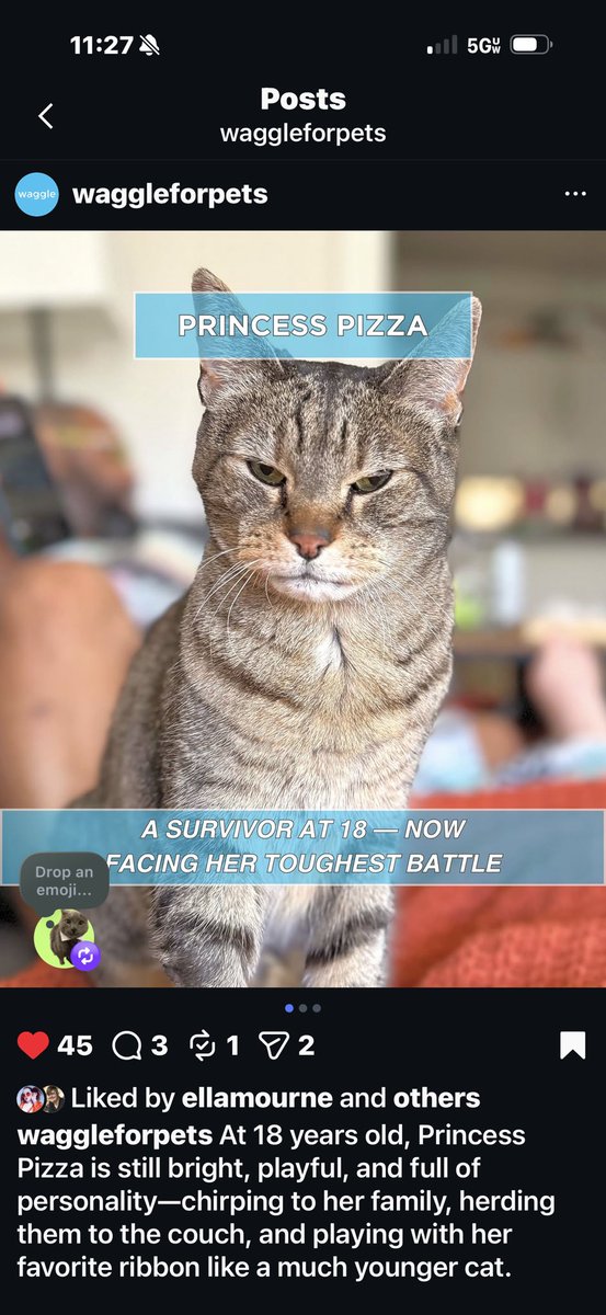 kate ☕️✨🍉 tweet media