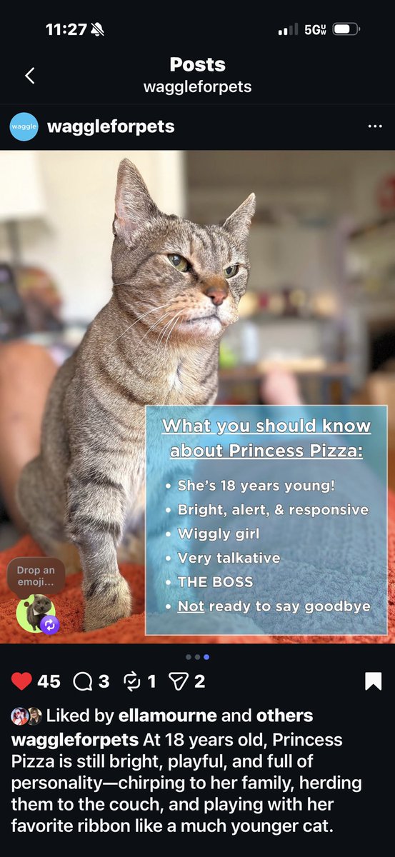 kate ☕️✨🍉 tweet media