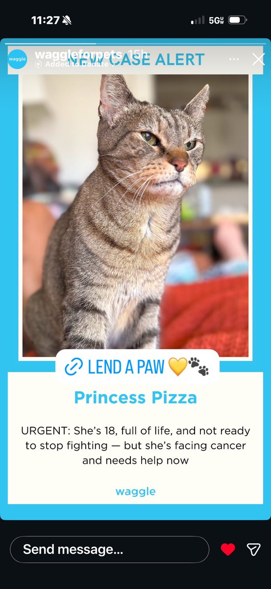 kate ☕️✨🍉 tweet media