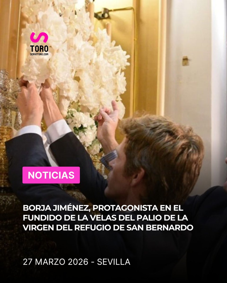 Servitoro tweet media