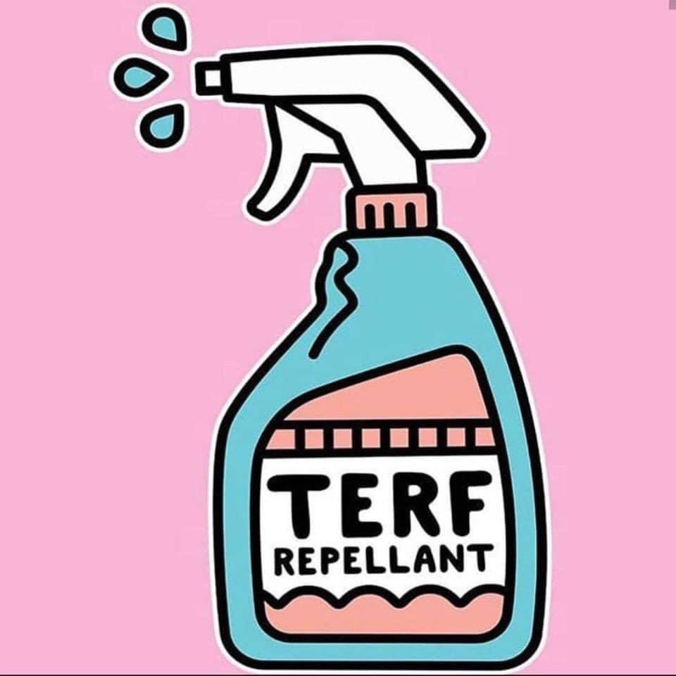 Amy 🦖 tweet media