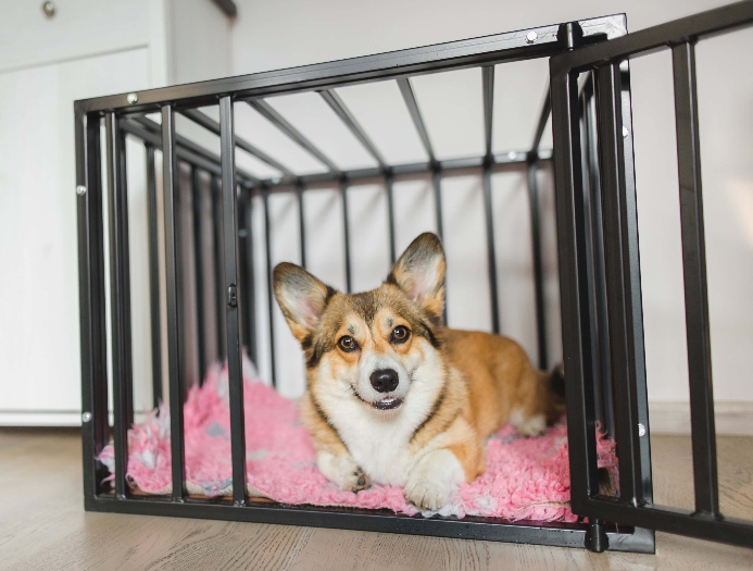 Sara B. Hansen tweet media