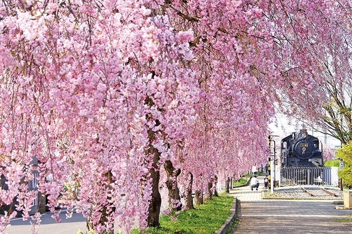 会津物語　会津の魅力を全国に🌸　《福島県会津地域創生》 tweet media