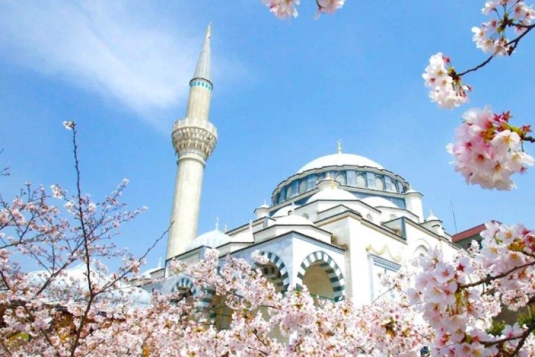 Ahmed-NL🇳🇱🇮🇶 tweet media