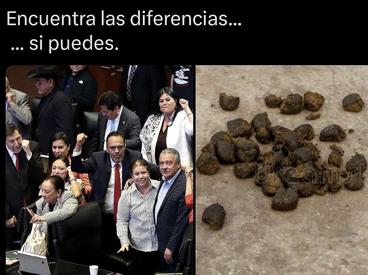 ricardo navarrete forastieri tweet media