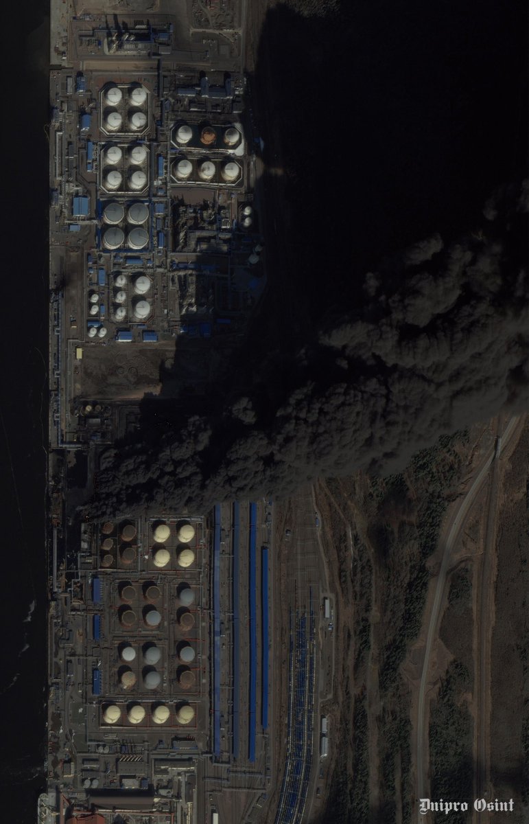 MAKS 25 🇺🇦👀 tweet media