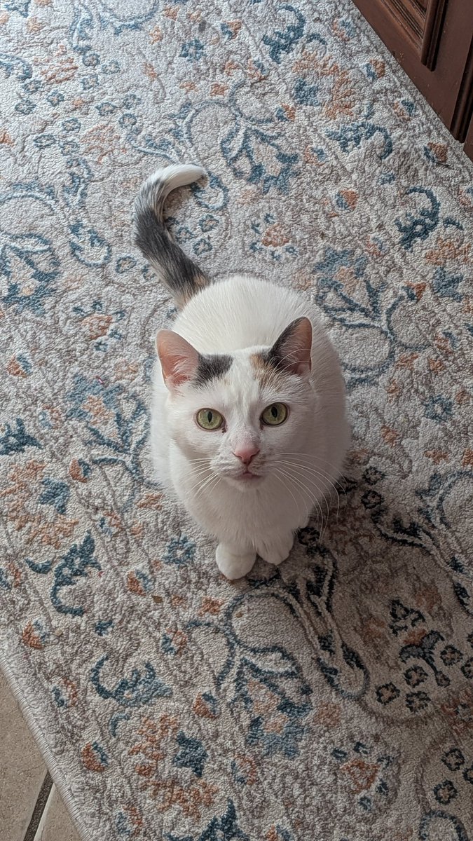 Paradigm tweet media