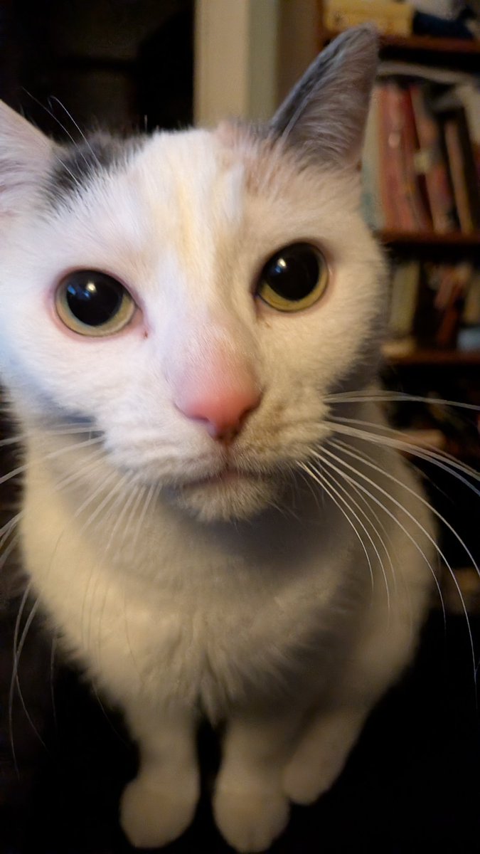 Paradigm tweet media