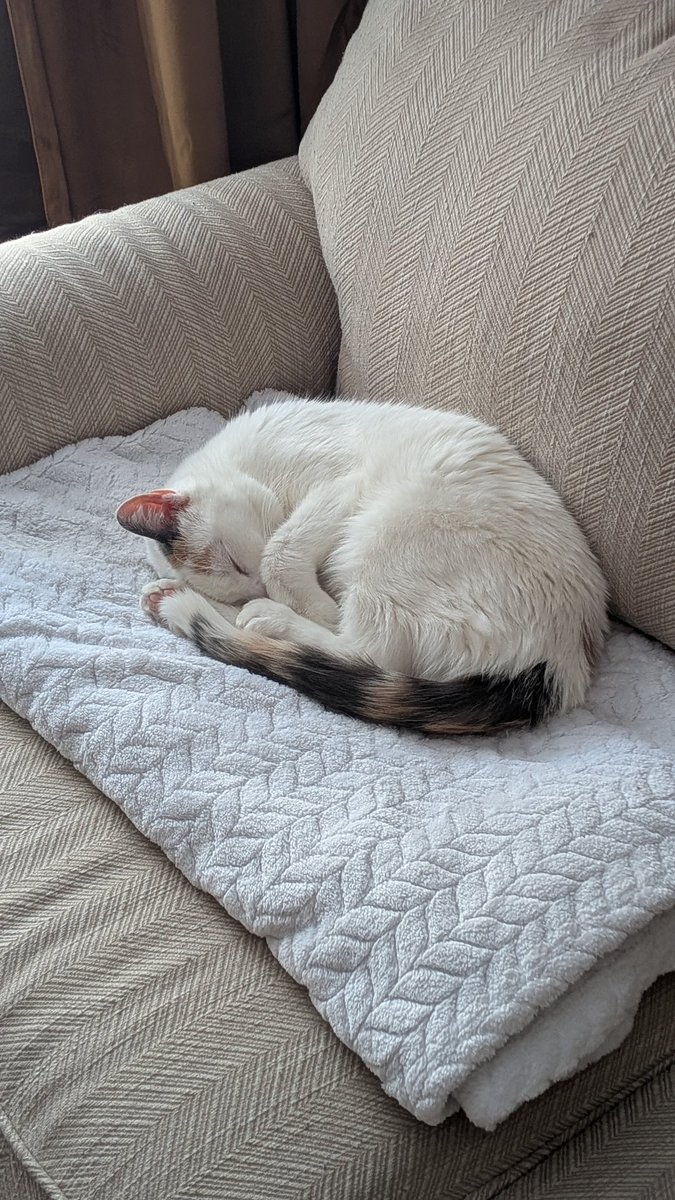 Paradigm tweet media