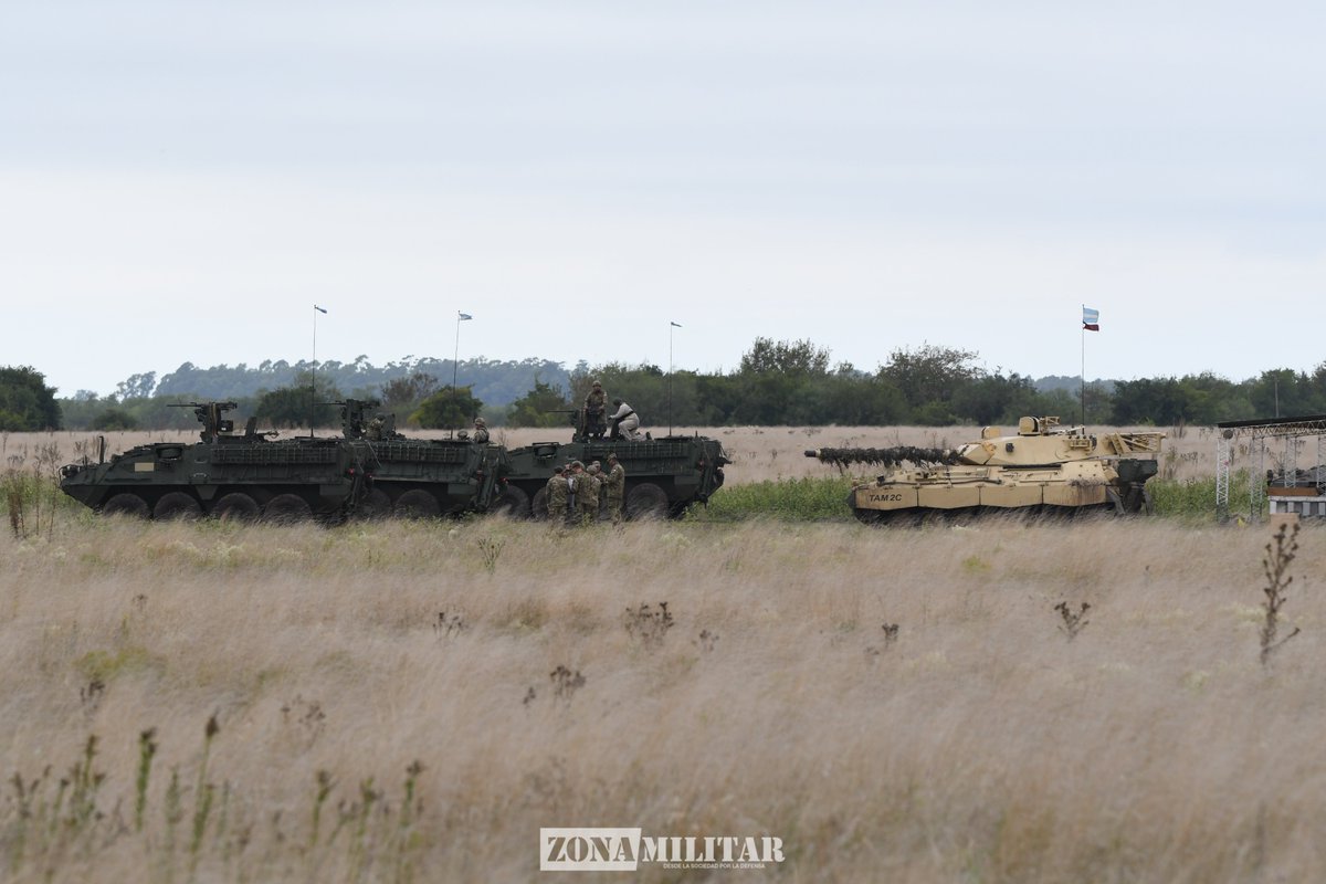 Zona Militar tweet media