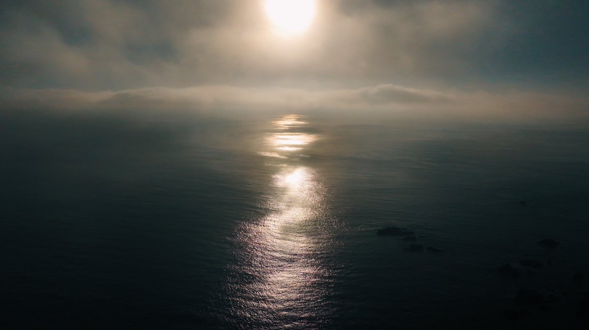 Blake Vincent Kueny tweet media