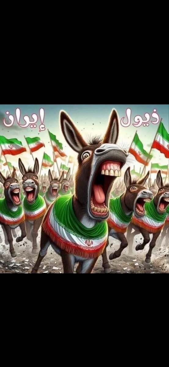 العليلي tweet media