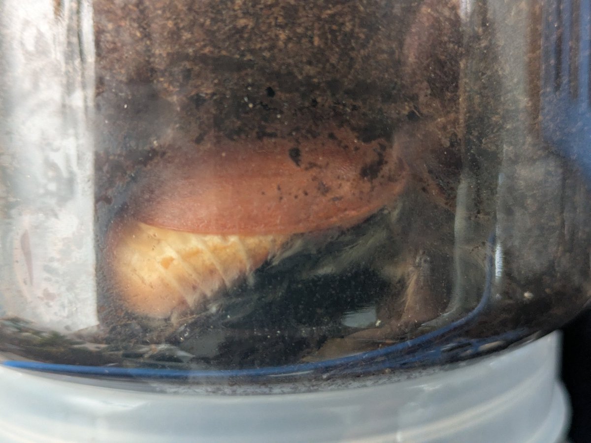 ゼロイチ01 tweet media