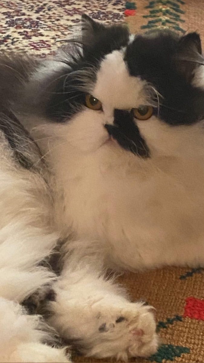 Ναπολέων tweet media